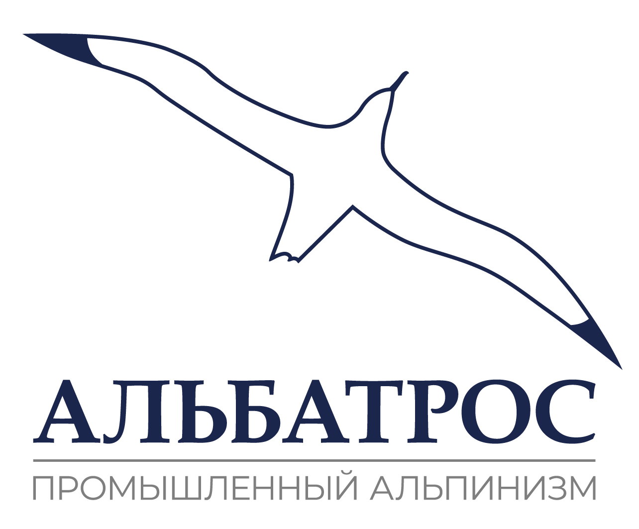 Кошелек альбатрос